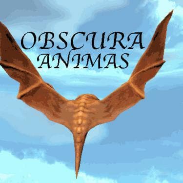 Obscura Animas screenshot 2
