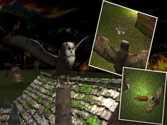 Wild Owl Flying Simulator 3D