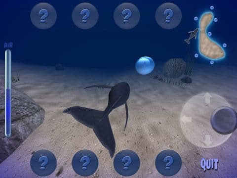 Humpback Whale Free screenshot 4