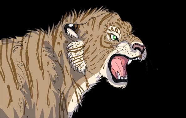 Dr.Liger(Shaughn)