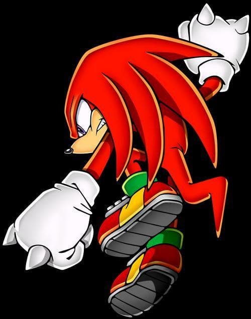 Knuckles The echidna Adventures!