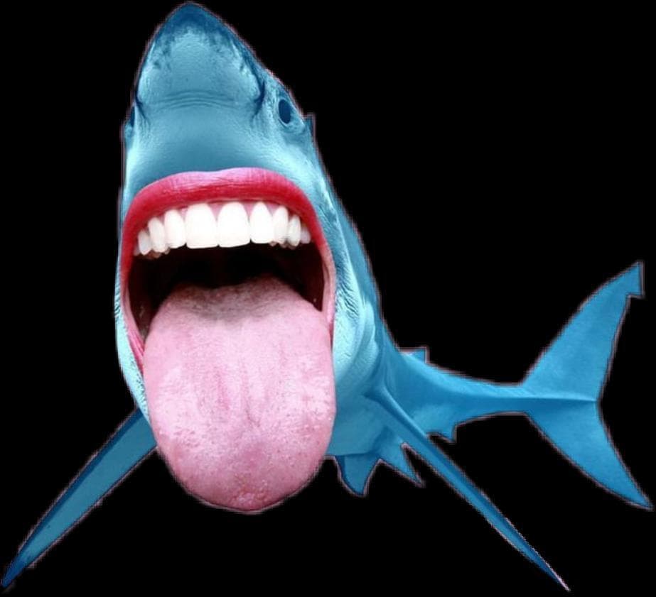 Shark Escape (Guy Ekstein)