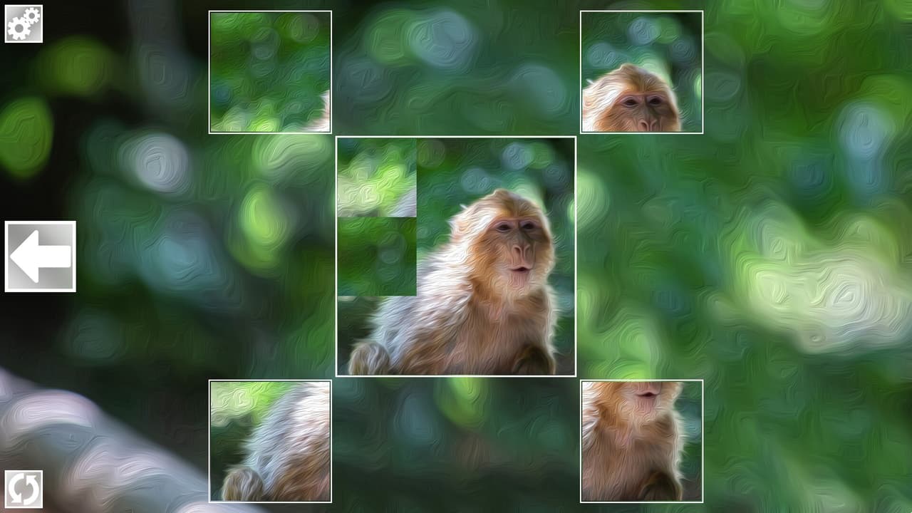 Puzzle Art: Primates screenshot 5