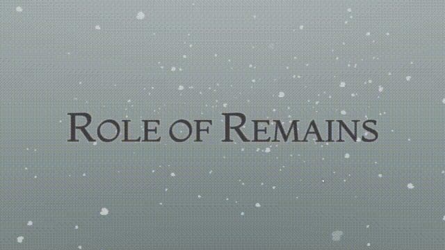 Role of Remains screenshot 2