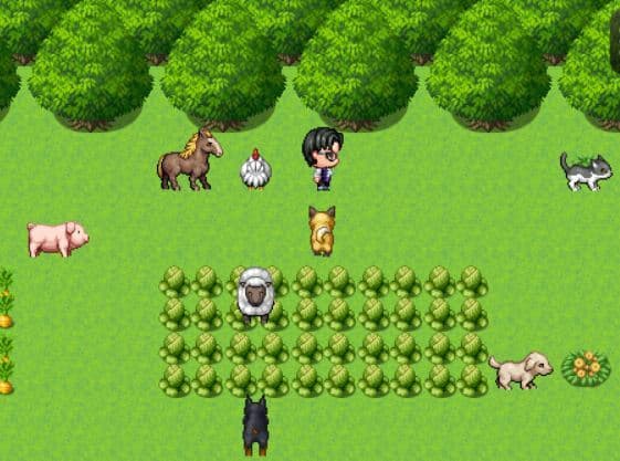 OAK Adventure Catch Up screenshot 2