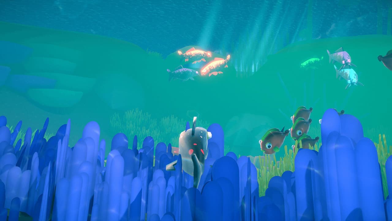 Da Koi screenshot 6