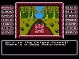 Princess Tomato in the Salad Kingdom (Wii)