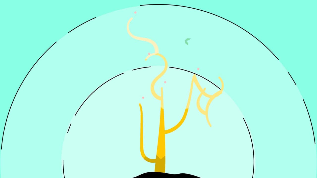 Become (Kaveh Tabar, dinopoke, Duncan74) screenshot 3