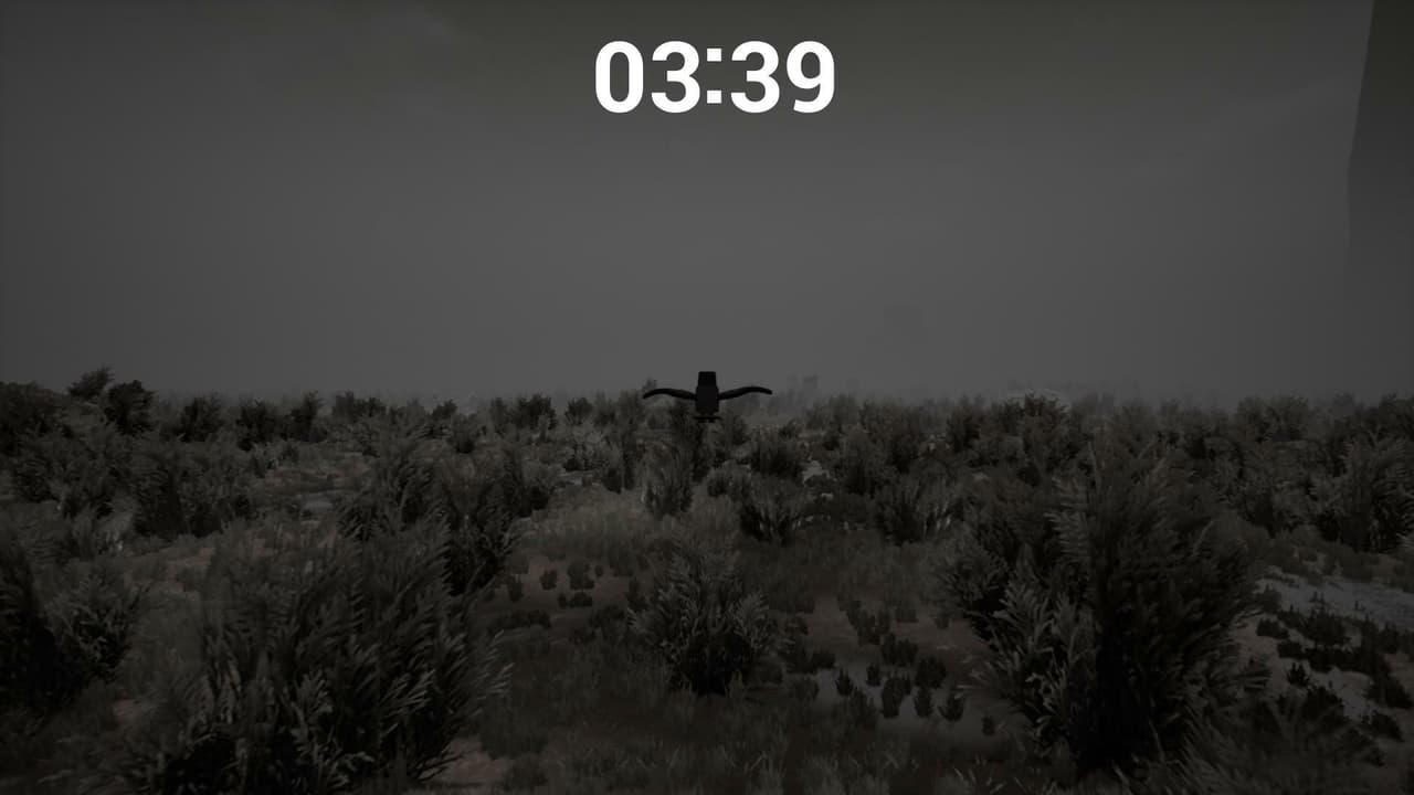 Bird (AhSpike) screenshot 2
