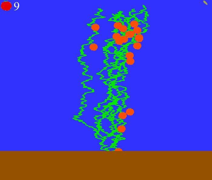 Tomato Farm (gmollgmollgames)