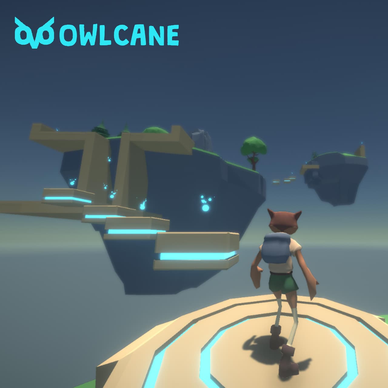Owlcane Prototype