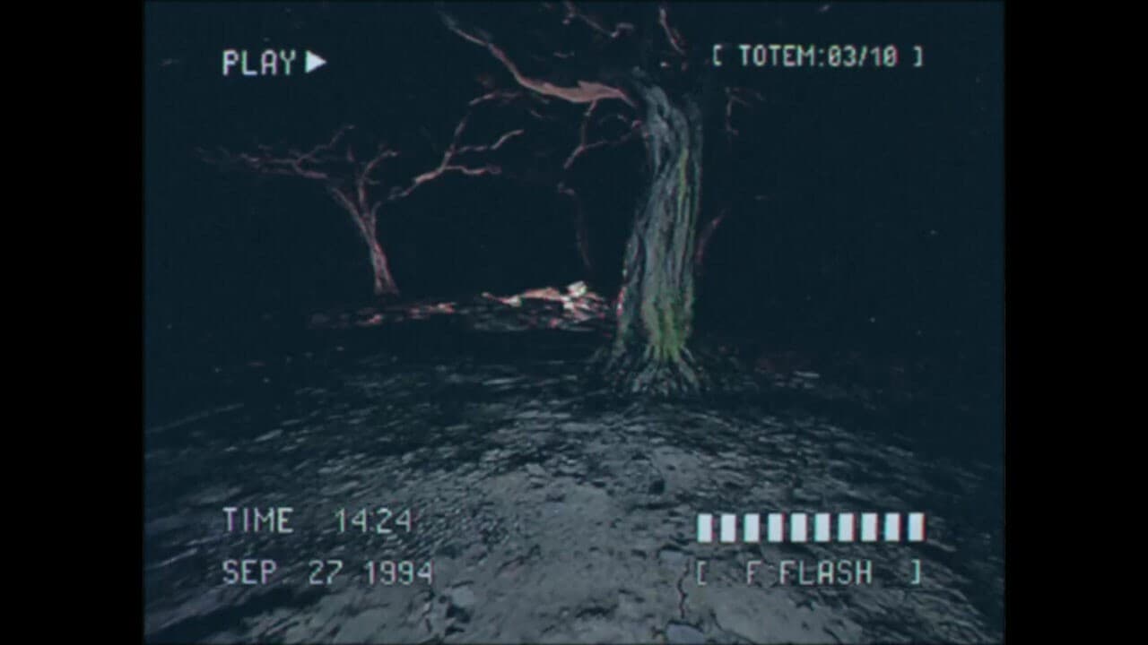 Lost Footage: Sound In The Silence screenshot 4