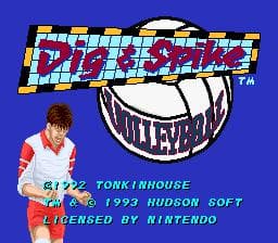 Dig & Spike Volleyball screenshot 2