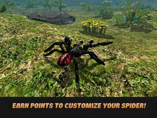 Spider Life Simulator 3D