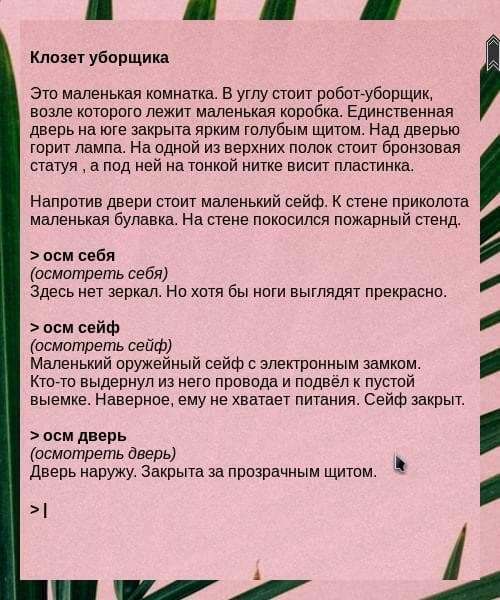 Полёт в Петербург