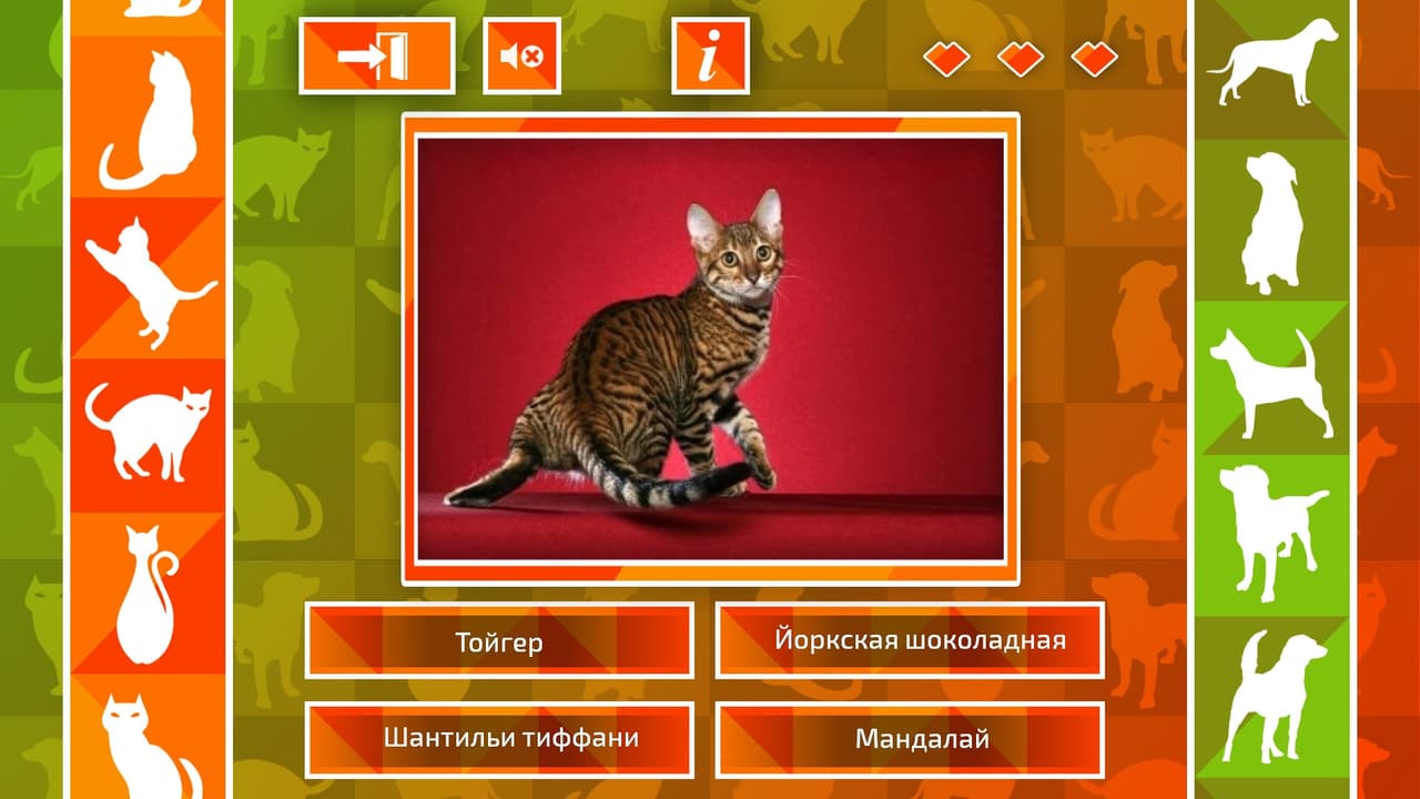 JQ: dogs & cats screenshot 3