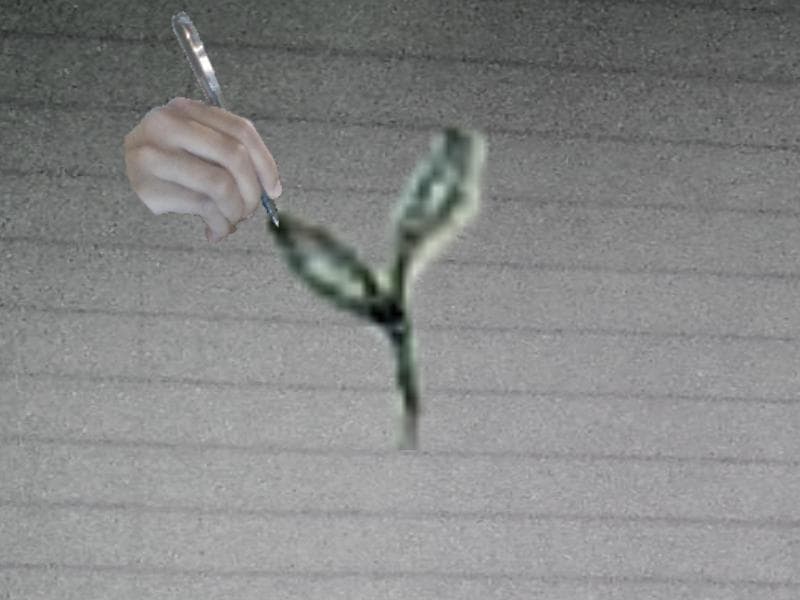 Doodlera: Drawn Existence