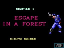 Ninja Gaiden (SEGA) screenshot 3