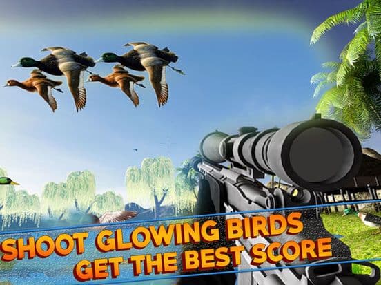 Duck Turkey Hunting Simulation