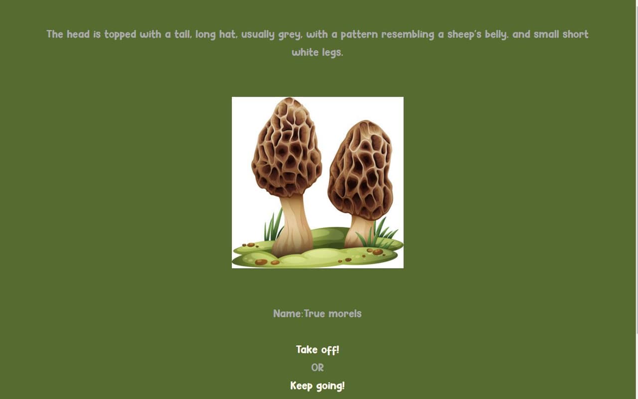 Lets pick mushrooms!