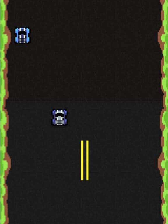 Fast Track Racer