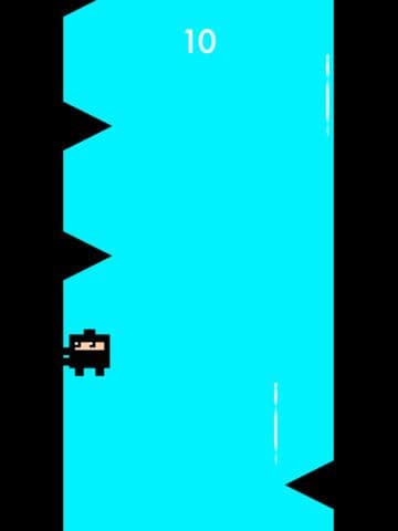 A Bouncy Ninja