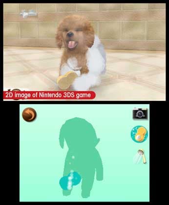 nintendogs + cats: Golden Retriever & New Friends screenshot 4