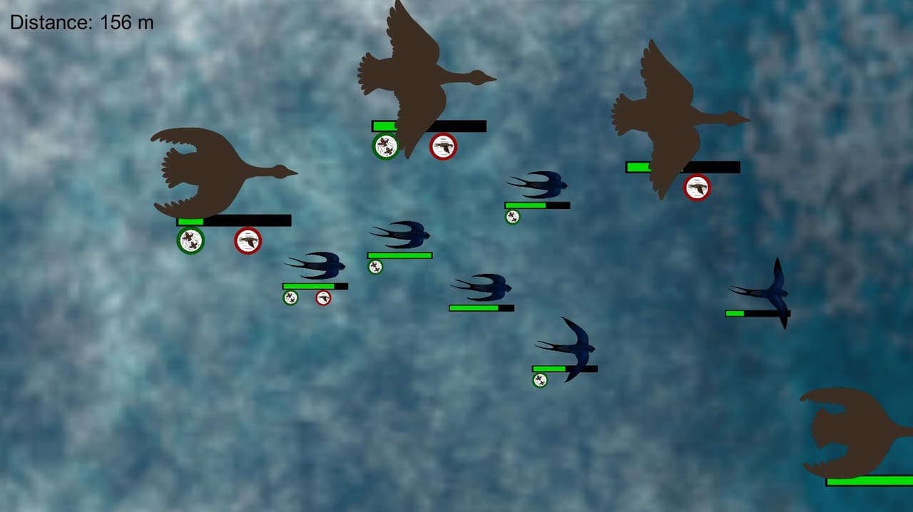Flocking Birds
