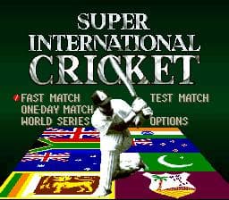 Super International Cricket screenshot 2