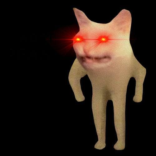 the cat is not pogging
