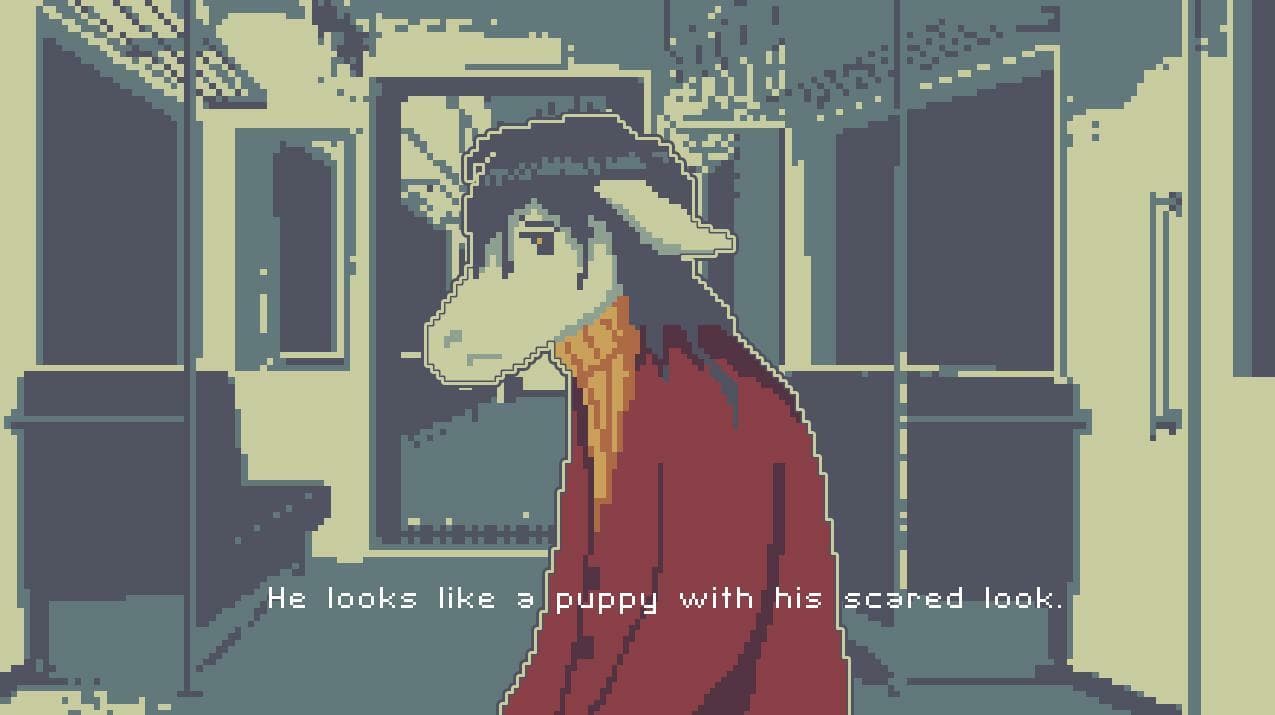 Donkey, You Make Me Fall in Love
