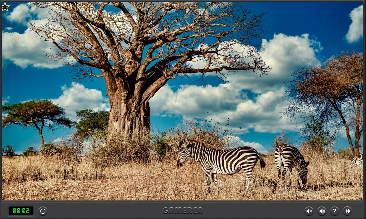 Animals Of Africa screenshot 2
