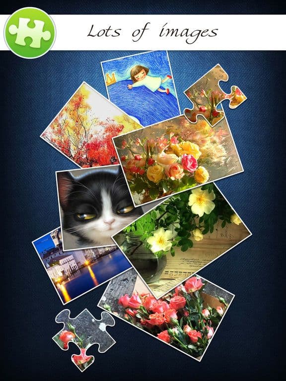 Jigsaw Puzzle Pro+ screenshot 3