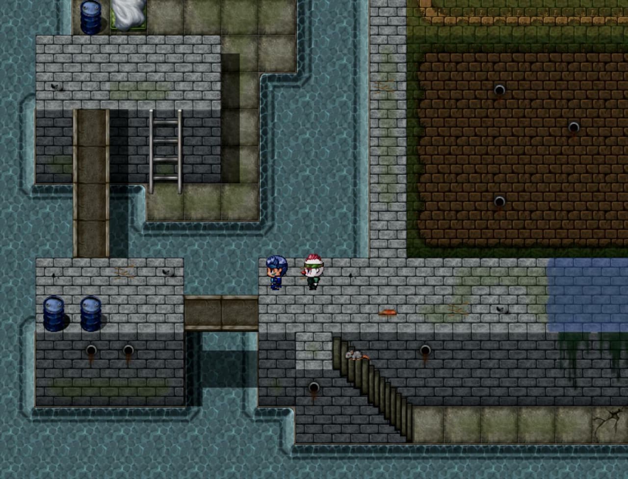 The Last Continent screenshot 6