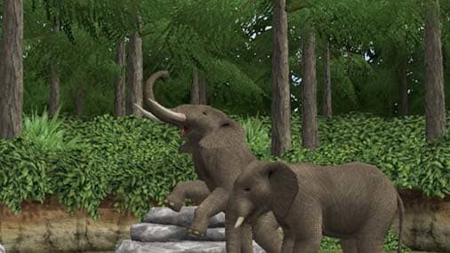 My Zoo