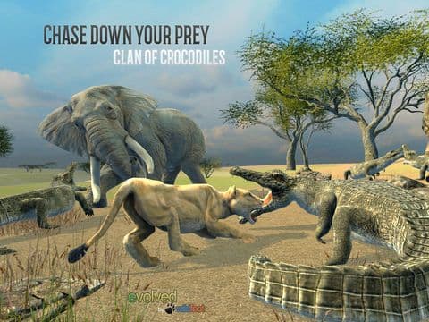 Clan of Crocodiles