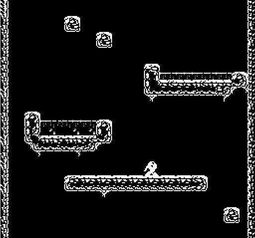 (NES) FISH
