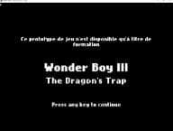Wonder Boy III: The Dragons Trap screenshot 2