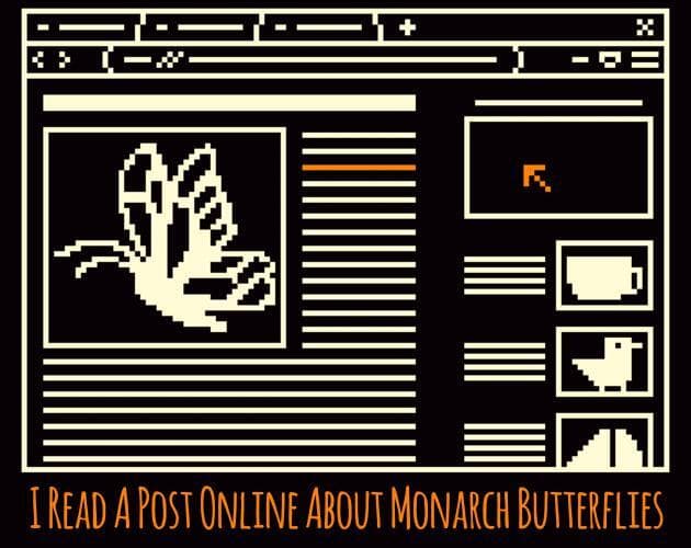 I Read A Post Online About Monarch Butterflies