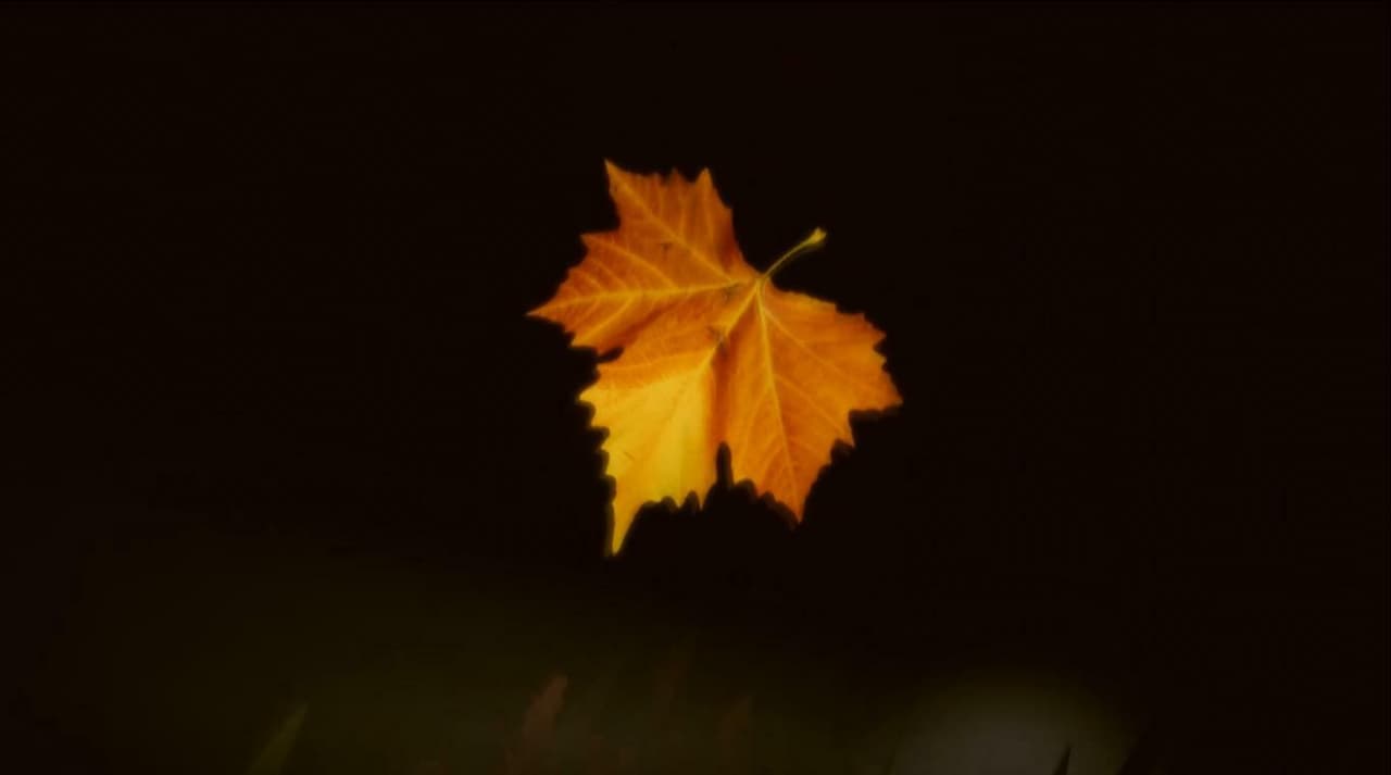 Monsoon (Eduardo Tassi) screenshot 2