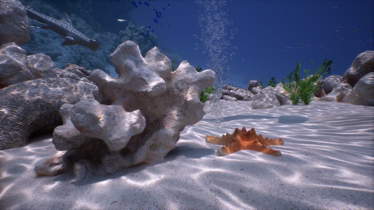 Simple-realistic Underwater VR screenshot 4