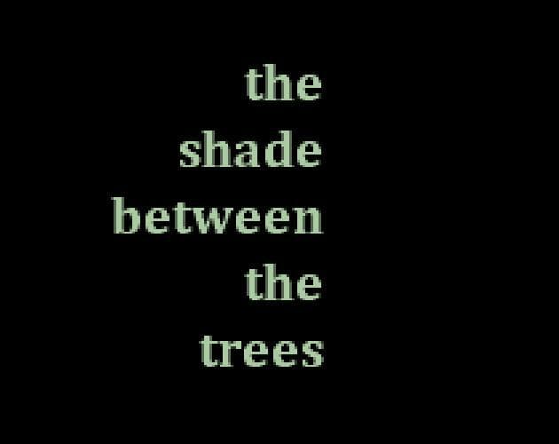 the shade between the trees