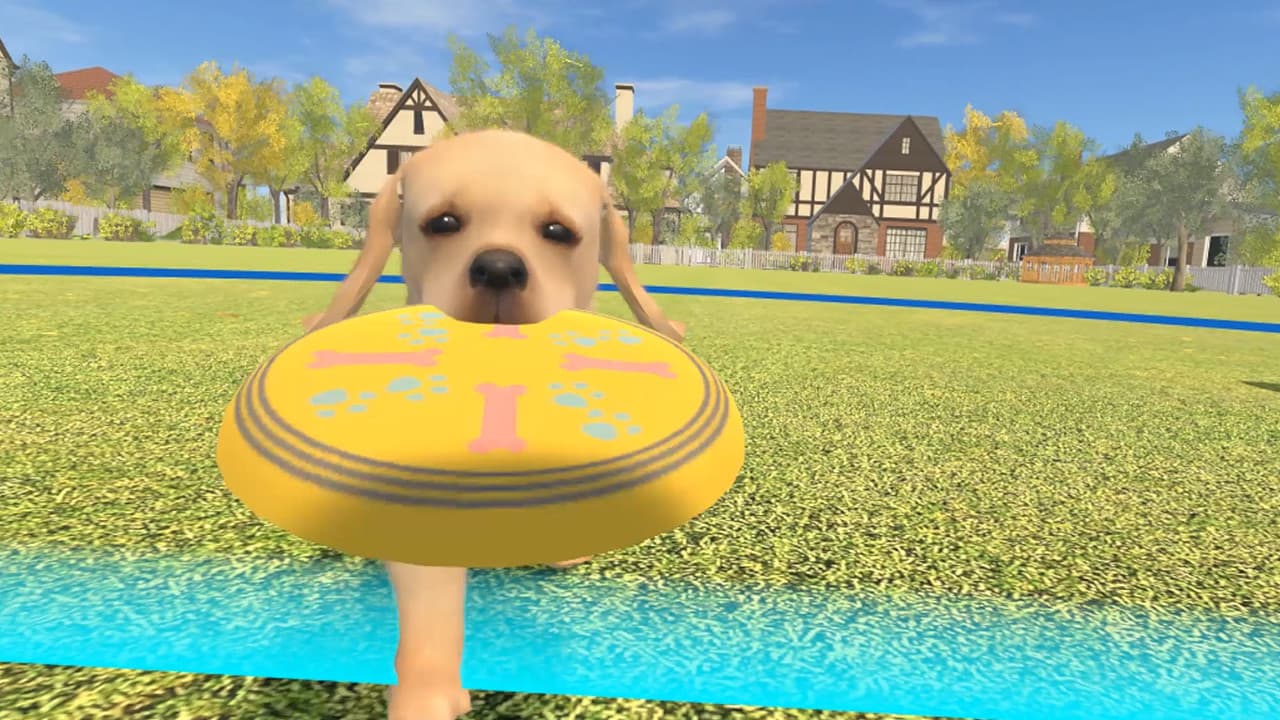 Dream Pet VR screenshot 3