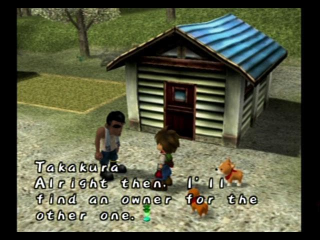 Harvest Moon: A Wonderful Life screenshot 5