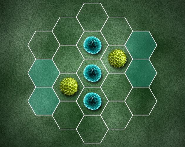 Micro-Versus