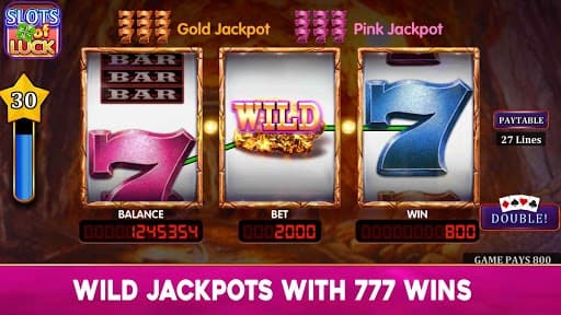 Wild Double Slots: Free Casino Slots Games screenshot 3