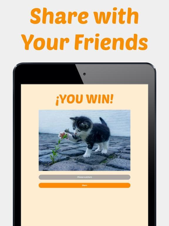 Cute Kitten Photos Puzzle