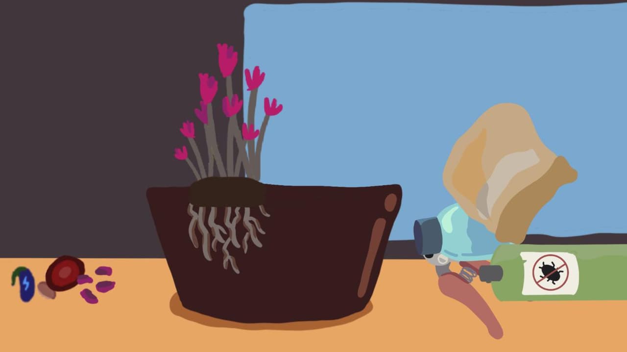 Lifeseeds screenshot 3