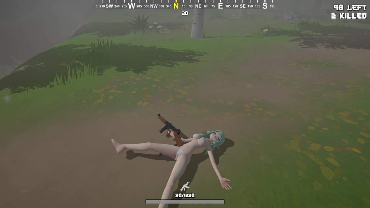 Hentai Arena | Battle Royale
