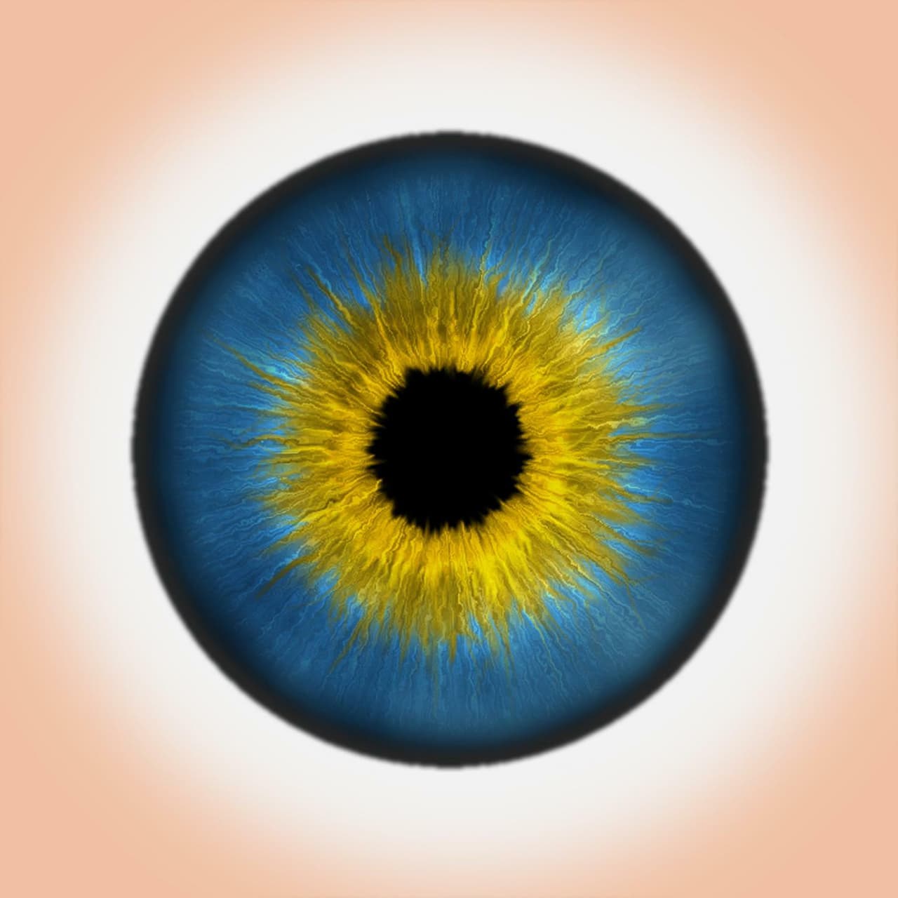 Eyes Follow
